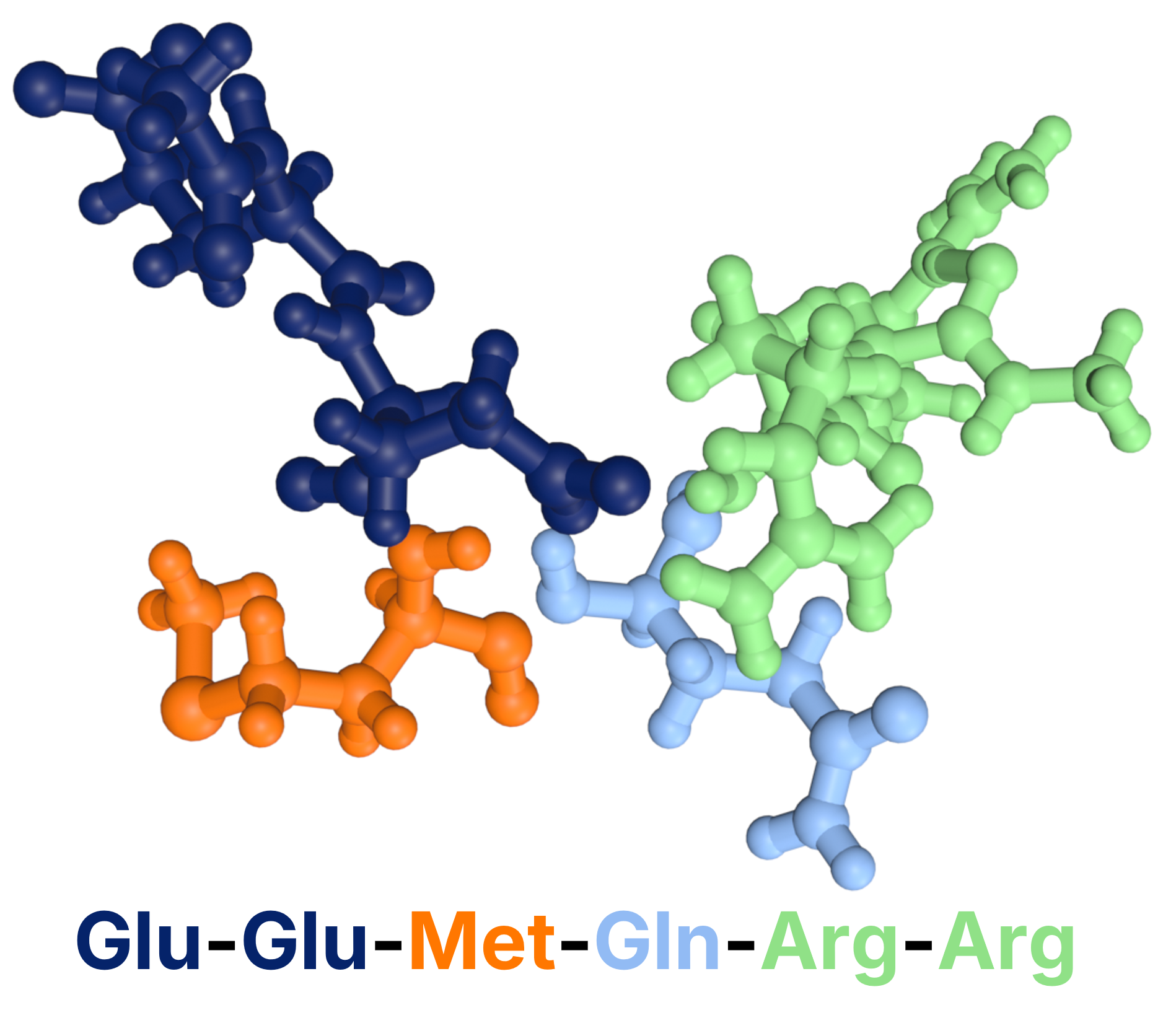 tutorial peptide Image